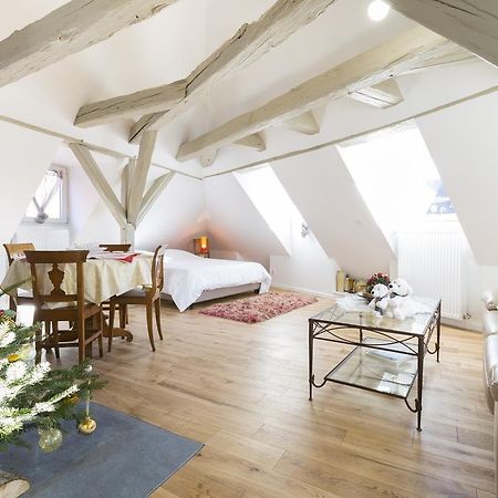 Les Appartements Saint Nicolas Colmar Kültér fotó