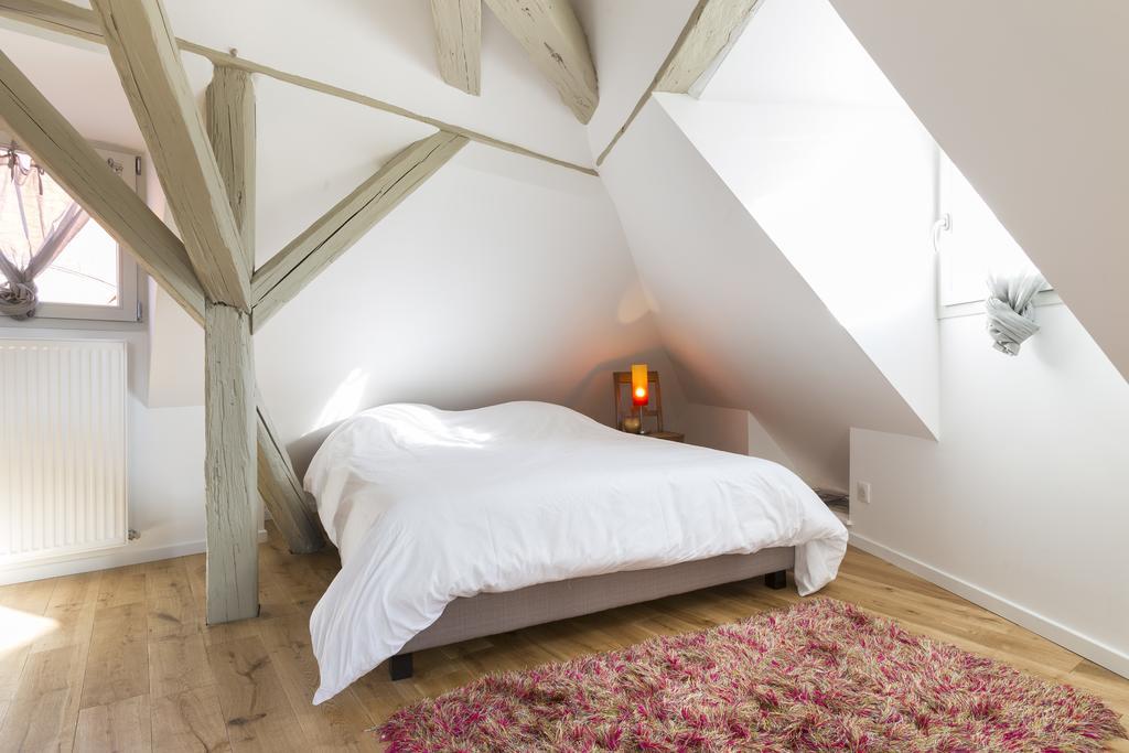 Les Appartements Saint Nicolas Colmar Kültér fotó